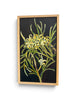 Veronica O'Leary, Native Framed Artwork