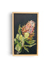 Veronica O'Leary, Native Framed Artwork