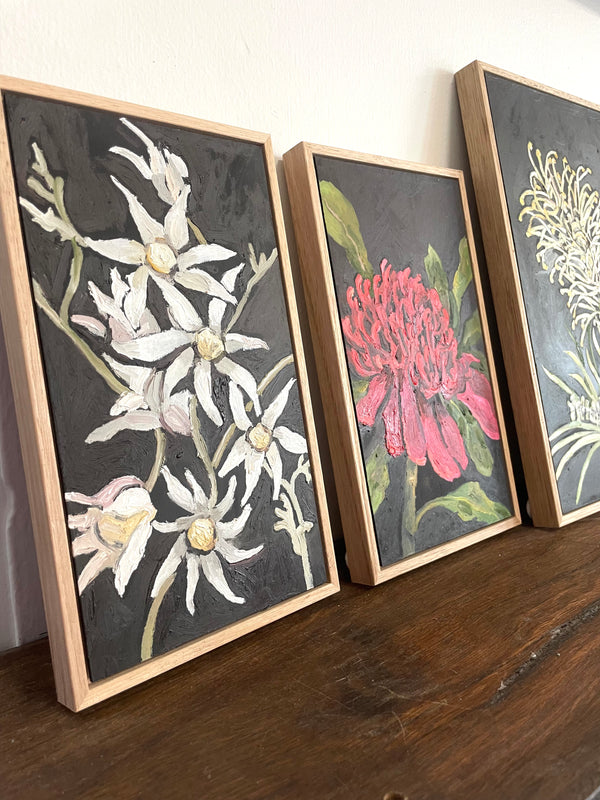 Veronica O'Leary Flora Paintings