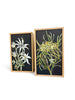 Veronica O'Leary, Native Framed Artwork