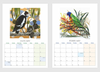 2025 Bird Calendar by Fiona Roderick