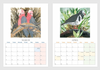 2025 Bird Calendar by Fiona Roderick