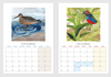 2025 Bird Calendar by Fiona Roderick