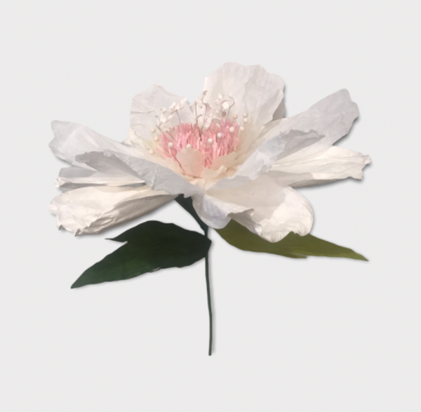Dancing Paper Flowers