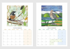 2026 Bird Calendar by Fiona Roderick