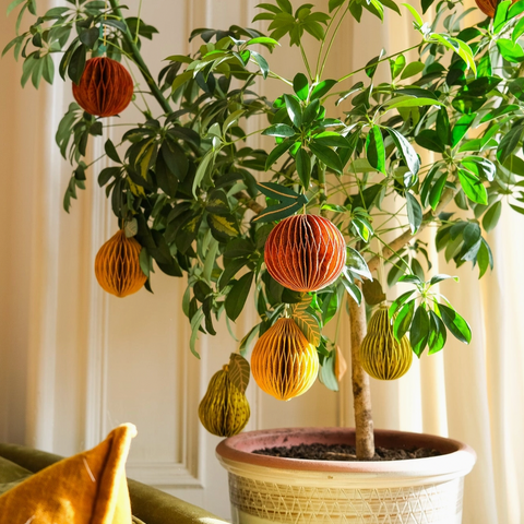 East End Press, Fruit Honeycomb Ornament