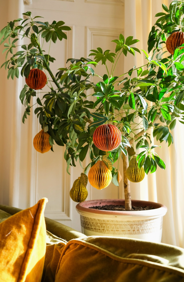 East End Press, Fruit Honeycomb Ornament