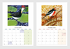 2027 Bird Calendar by Fiona Roderick