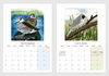 2027 Bird Calendar by Fiona Roderick